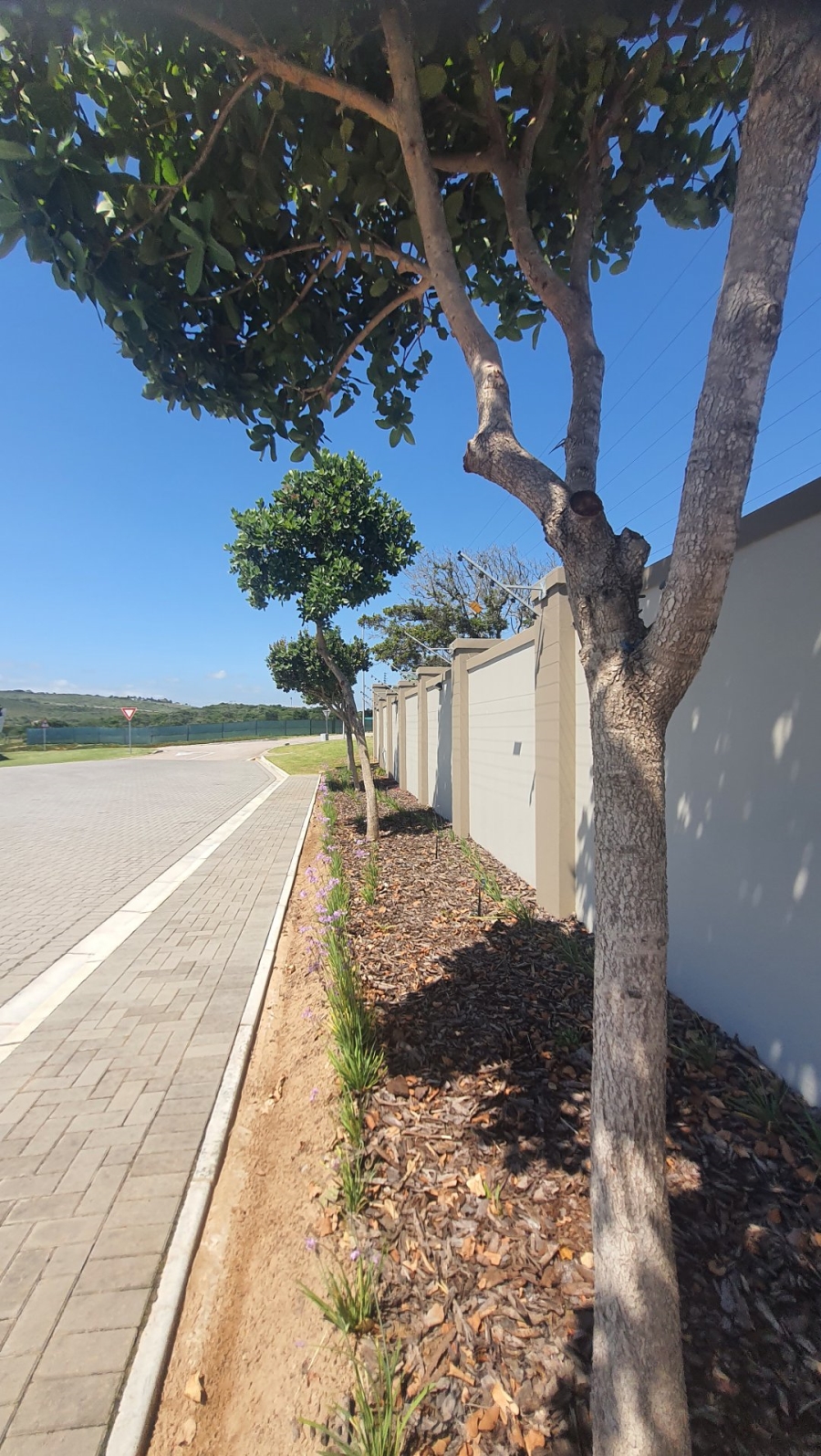 3 Bedroom Property for Sale in Reebok Western Cape